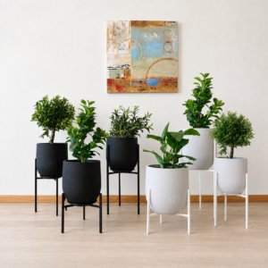 Trío Pedestal + Maceteros