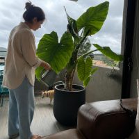 cuida_tu_planta_mq